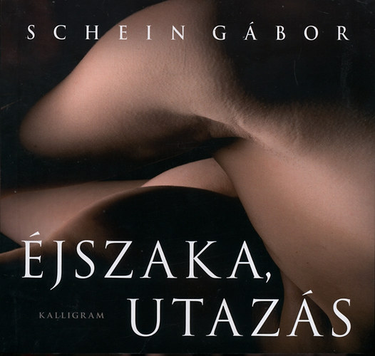 Schein Gábor: Éjszaka, utazás