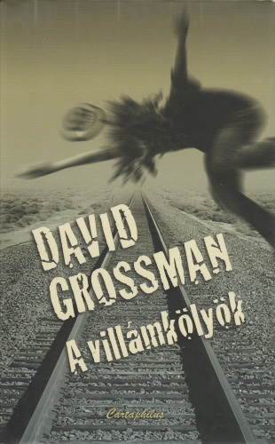 David Grossman: A villámkölyök