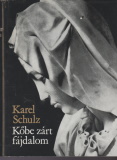 Karel Schultz: Kőbe zárt fájdalom - Michelangelo élete