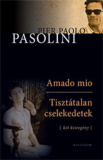 Pier Paolo Pasolini: Amado mio / Tisztátalan cselekedet