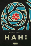 Birgül Ogúz: Hah!