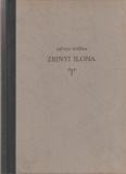 Dénes Zsófia: Zrinyi Ilona