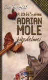 Sue Townsend: 23 és 3/4 éves Adrian Mole küzdelmei