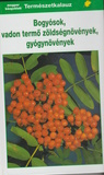 Bogyósok, vadon termő zöldségnövények, gyógynövények
