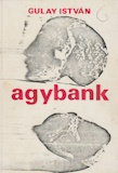 Gulay István: Agybank