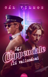 Gál Vilmos: Egy Chippendale-fiú vallomásai