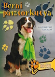 Berni pásztorkutya