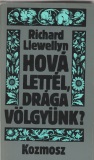 Richard Llewellyn: Hová lettél, drága völgyünk? I-II