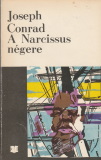 Joseph Conrad: A Narcissus négere