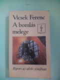 Vicsek Ferenc: A bomlás melege