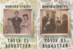 Howard Spring: Tövis és borostyán I-II