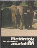 Szvjatoszlav Szaharnov: Elefántok az aszfalton