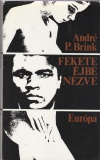 André P. Brink: Fekete éjbe nézve